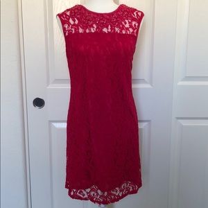 Pink Lace Adrianna Papell Dress